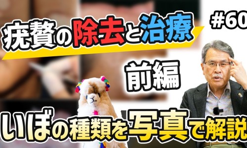 布洛芬缓释胶囊的功效与作用-加布洛芬缓释胶囊网布洛芬缓释胶囊的功效与作用知识网站,分享布洛芬缓释胶囊用法用量大全